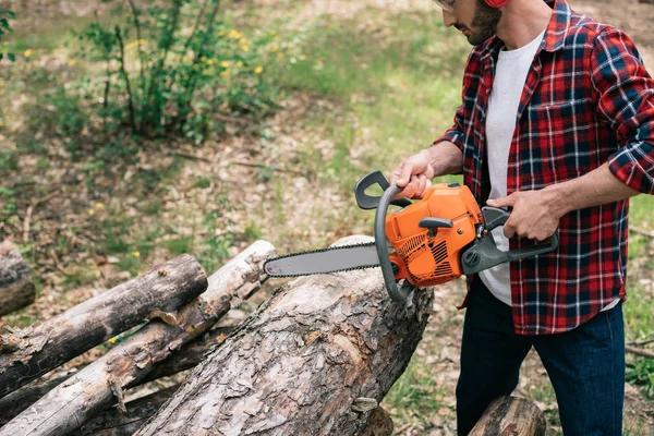 Professional Tree Removal in Adrian, Michigan by Local Specialists