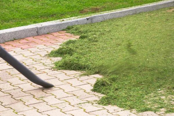 Seasonal Landscaping Services to Keep Your Yard Looking Its Best
