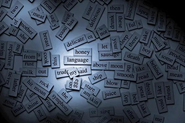 Unraveling the Mystery of the U Umlaut